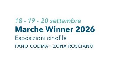 Locandina Marche Winner 2026